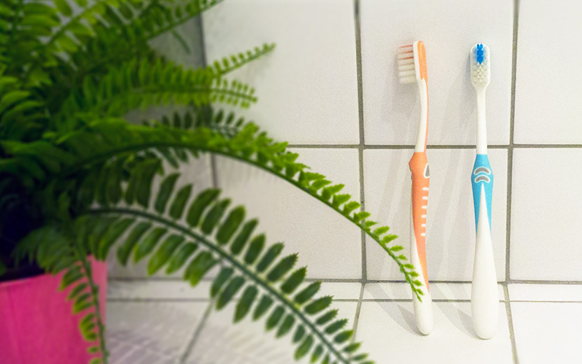 Oral Hygiene - Adult Toothbrush