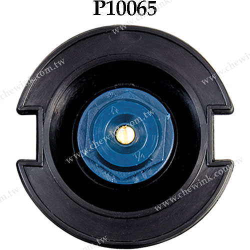 P10061-P10067 Plastic Flush Sprinkler_3